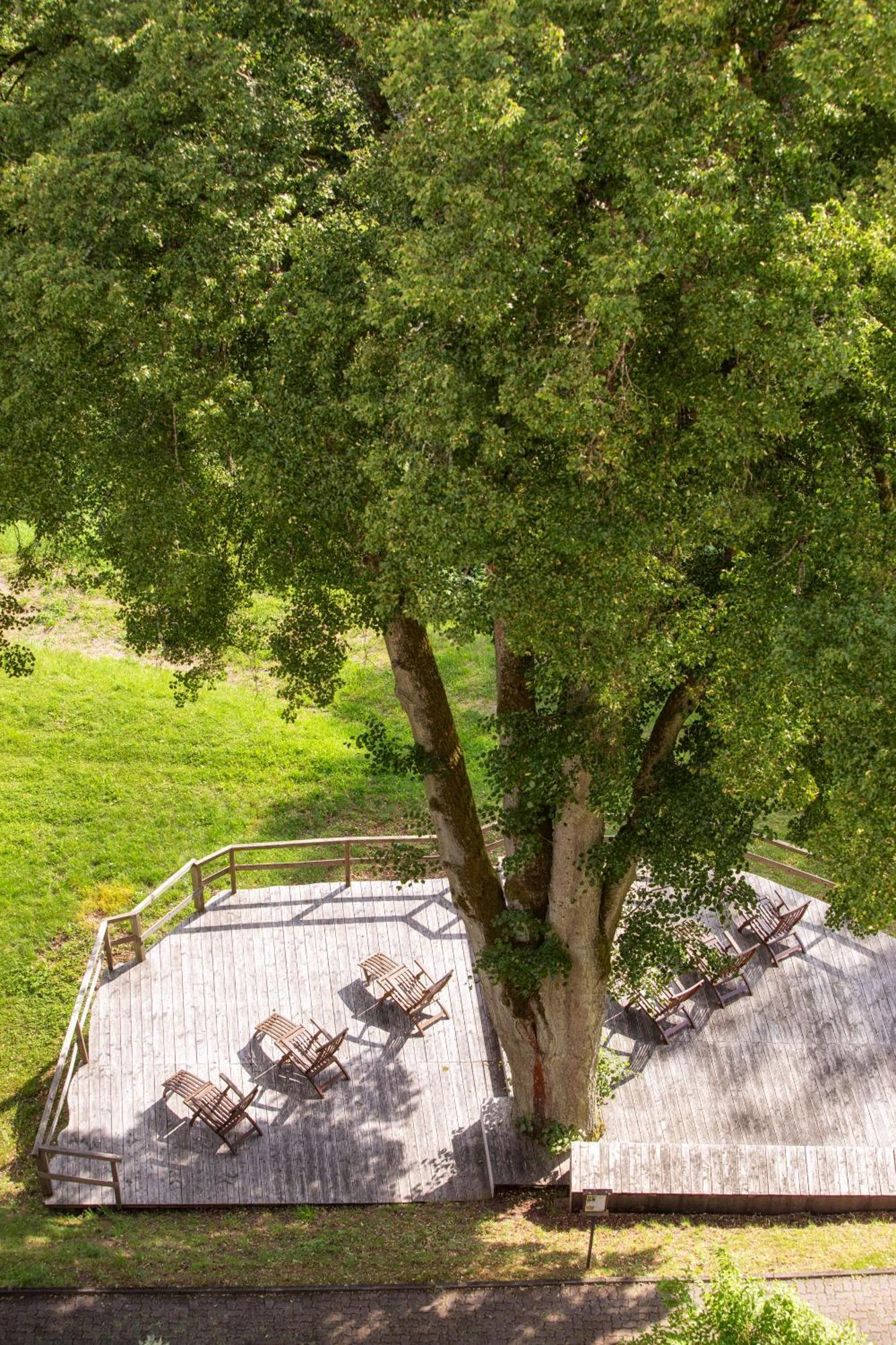 Roomingtons Hotel Franziskushoehe Lohr Экстерьер фото