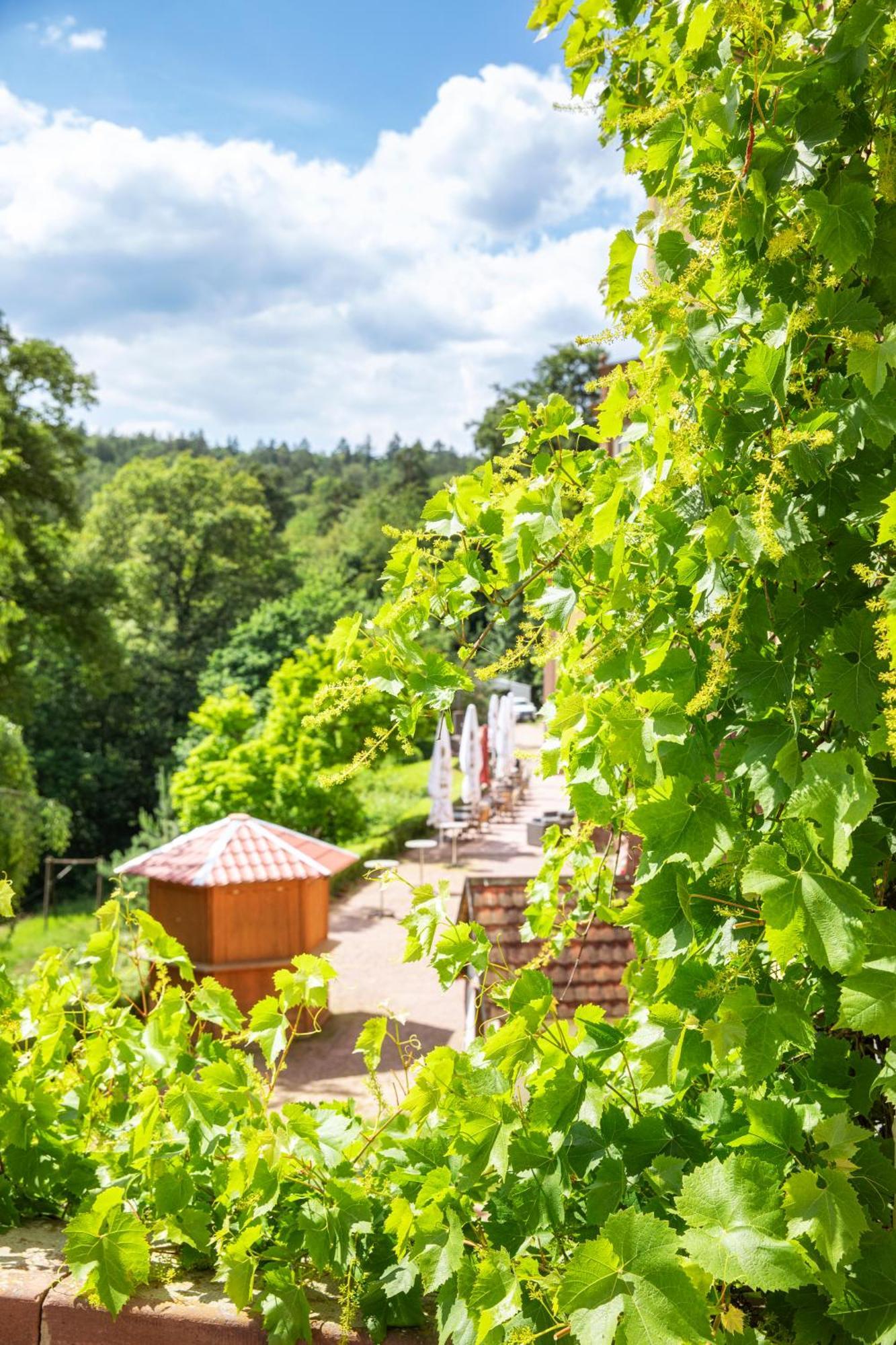 Roomingtons Hotel Franziskushoehe Lohr Экстерьер фото