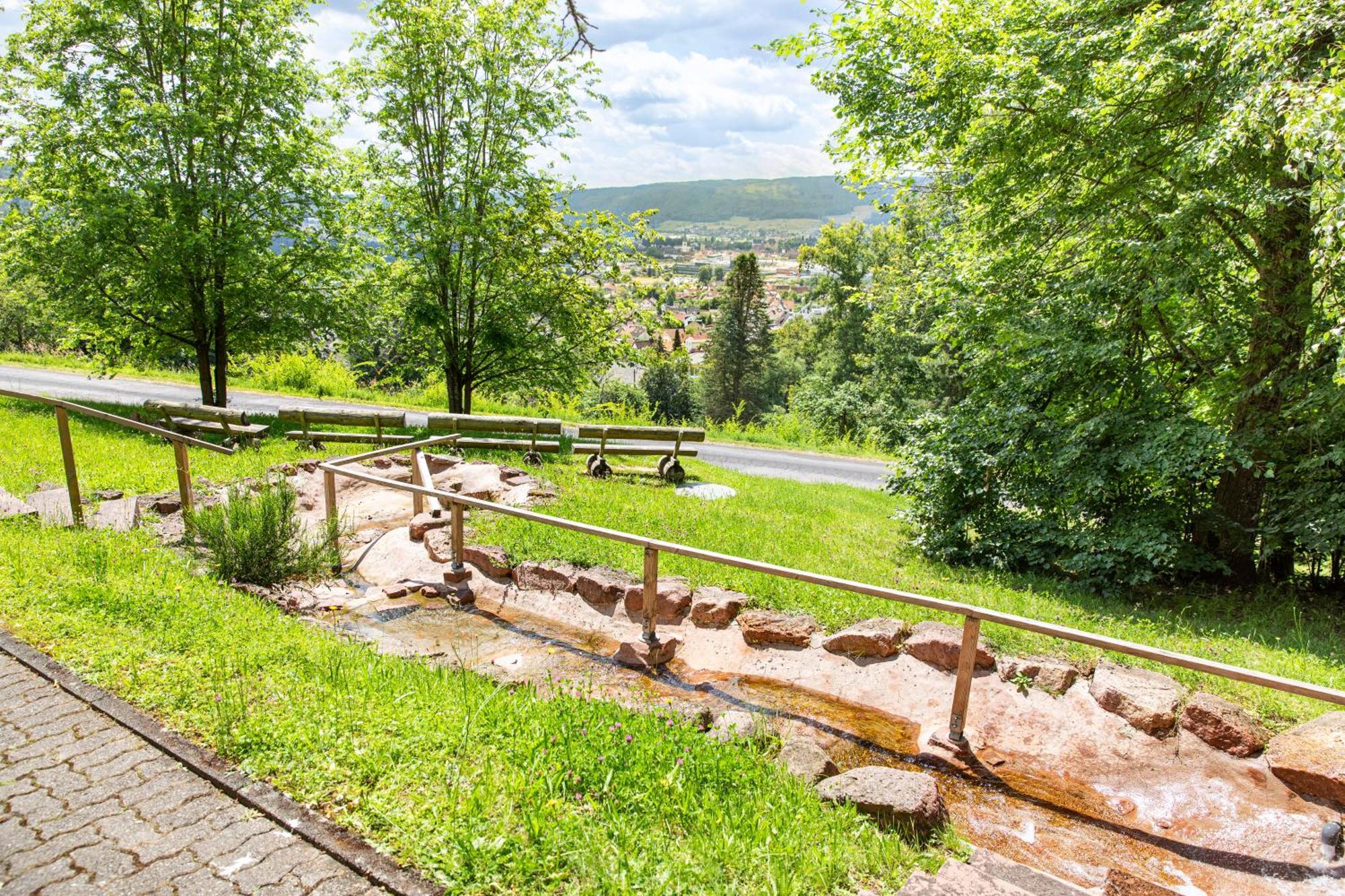 Roomingtons Hotel Franziskushoehe Lohr Экстерьер фото